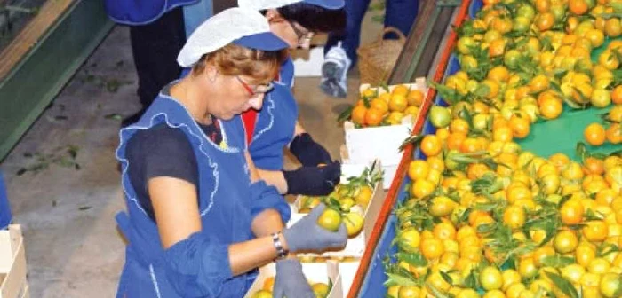 Şomerii au şanse de angajare