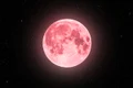 Luna Căpșunilor, foto Shutterstock jpg