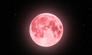 Luna Căpșunilor, foto Shutterstock jpg