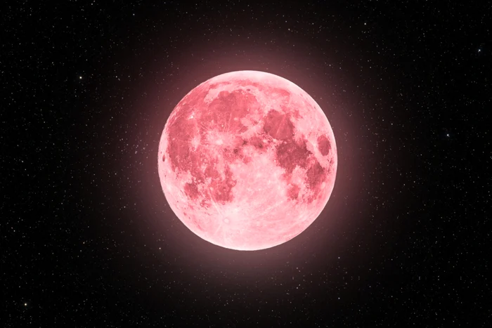 „Luna Căpșunilor” / Foto: Shutterstock