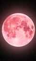 Luna Căpșunilor, foto Shutterstock jpg