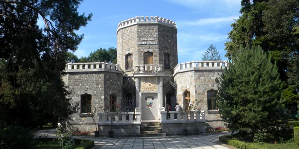 castelul hasdeu campina