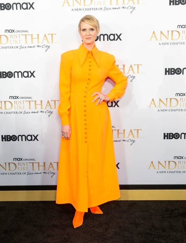 2 cynthia nixon jpg jpeg