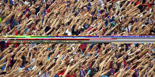 steaua spectatori foto razvan pasarica