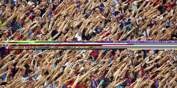steaua spectatori foto razvan pasarica