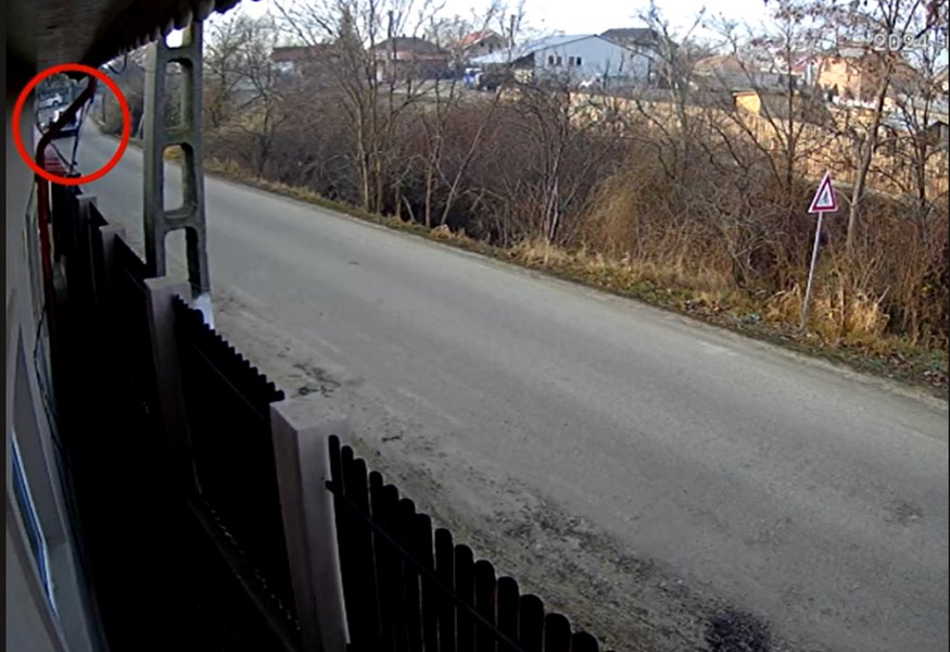 Ce a pățit un individ care a abandonat patru căței pe stradă. Prins cu ajutorul unei camere de supraveghere VIDEO