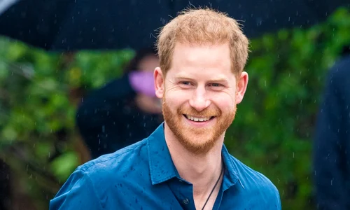 printul harry profimedia jpg