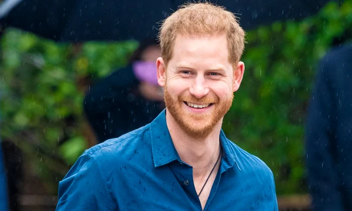 printul harry profimedia jpg