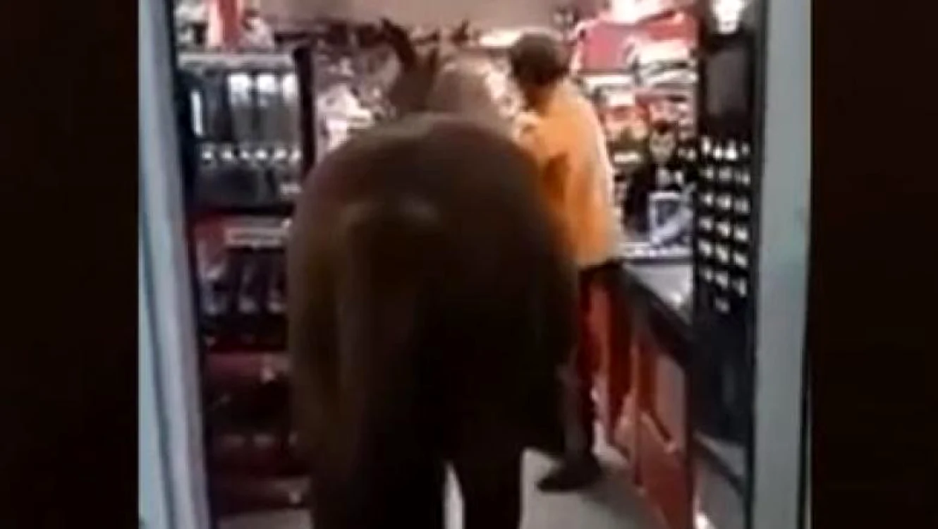 
    Bărbatu s-a plimbat nestingherit printre raftrui cu calul după elfoto: captură video   