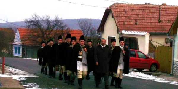 butea feciorilor