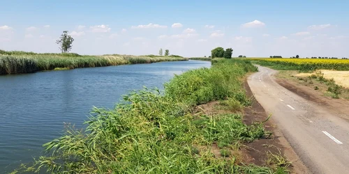 Cum arată pista de biciclete Timişoara-Zrenjanin pe partea sârbească FOTO Bartha Csaba