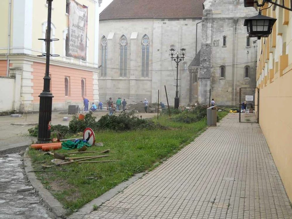 Copacii de pe strada dintre Catedrală şi Muzeu au fost tăiaţi