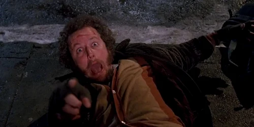 daniel stern marv home alone 