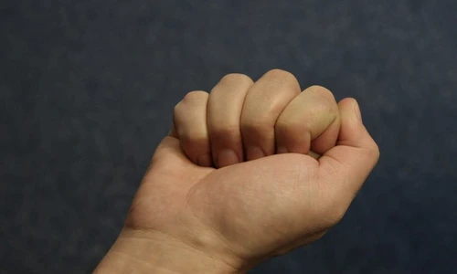 1 testul pumnului jpg jpeg