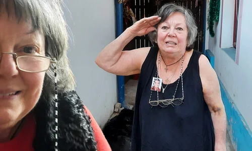 banner anca pandrea png