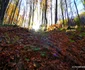 Drumul spre peștera din Valea Rea Foto Daniel Guță (35) jpg