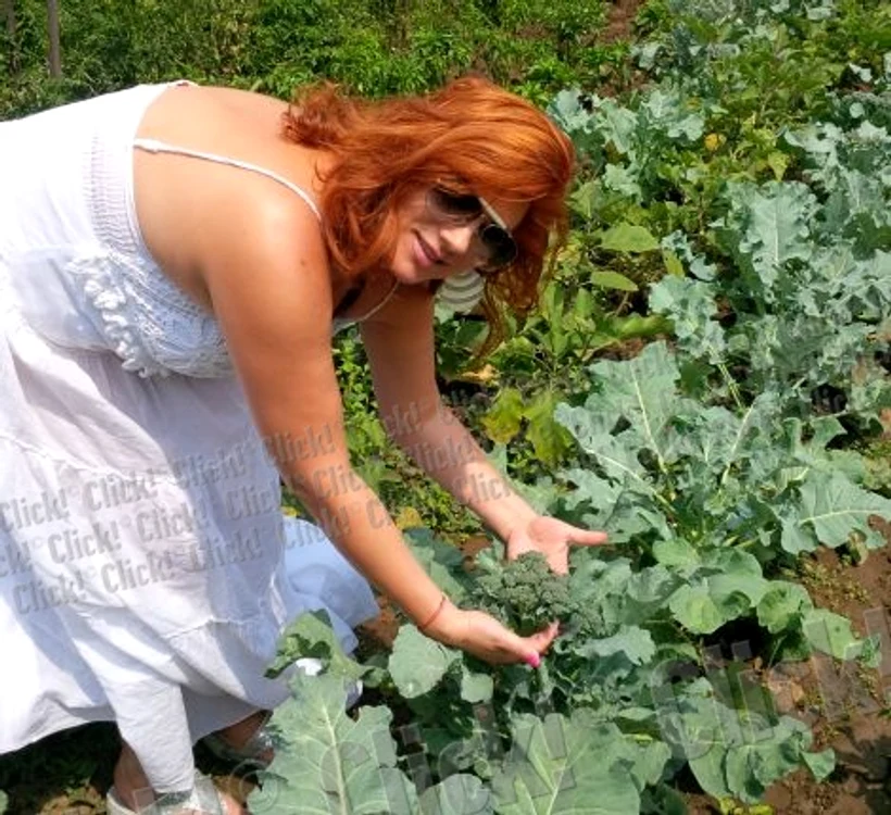 Mihaela Borcea cultivă legume acasă