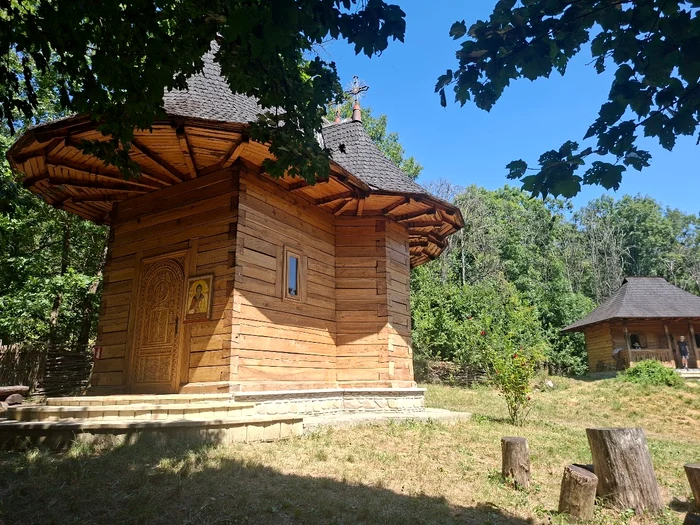 Cozancea