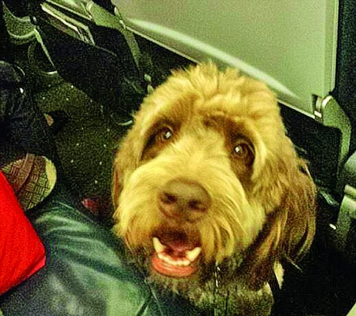 Mirosul insuportabil din avion a dus la aterizarea neprevăzută