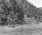 retezat 1963 foto viorel simionescu