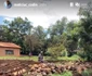 9 codin maticiuc in africa 3 jpg jpeg