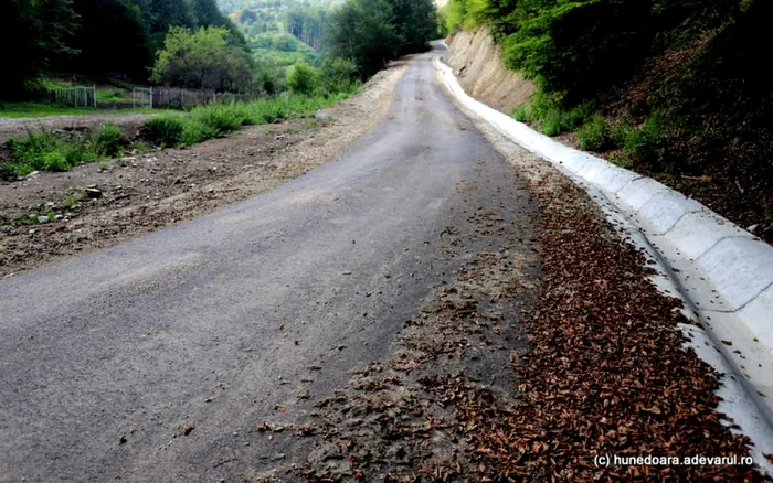 transalpina padurenilor