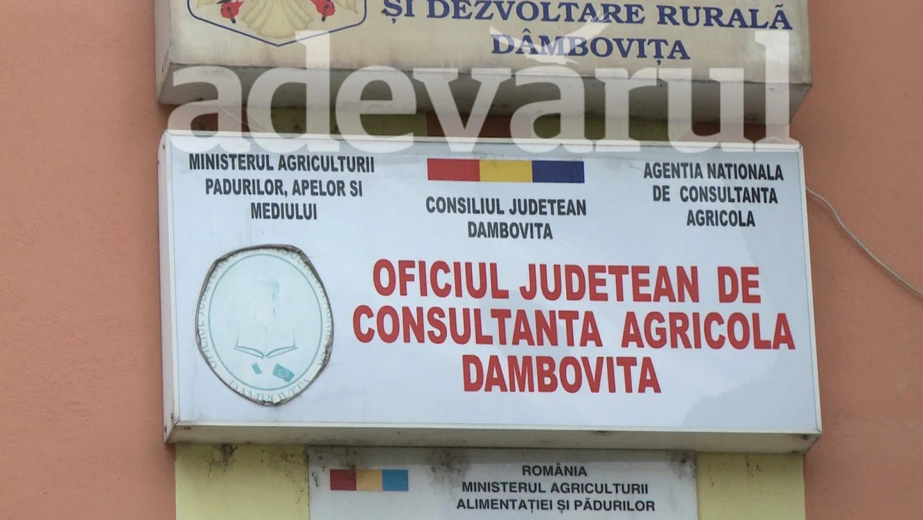 Reprezentanţii OJCA spun că guvernul trebuie să se implice rapid pentru reorganizarea Camerei Agricole