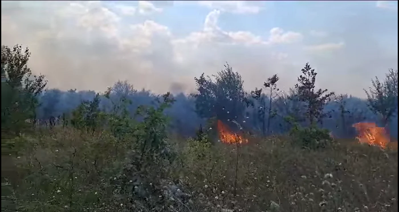 Flăcările au cuprins 20.000 de metri pătrați de vegetație