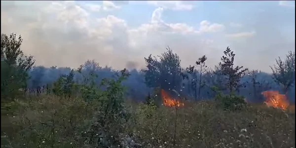 Incendiu de vegetaţie uscată, în nordul Capitalei FOTO Captură Video png