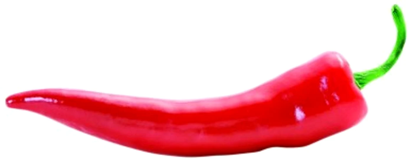 1 2 jpg jpeg