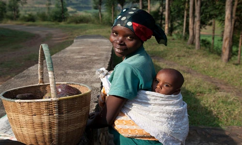 1 77661 original jpg jpeg