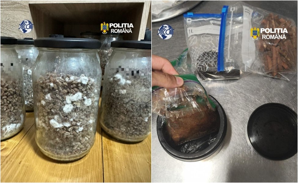 Ritualuri cu șamani și Ayahuasca, într-o pensiune din Hunedoara. Ce au descoperit polițiștii la percheziții
