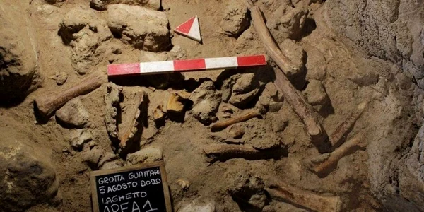 fosile neanderthal italia