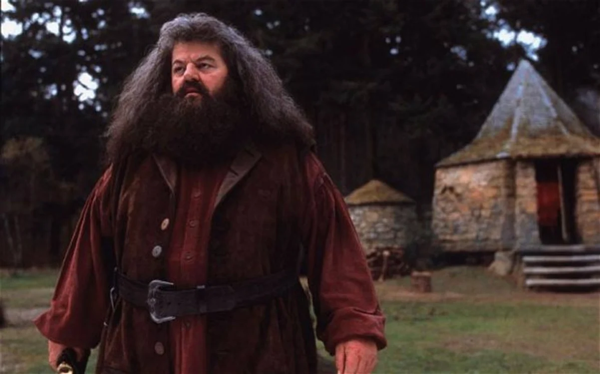 
    Robbie Coltrane este cunoscut pentru rolul lui Hagrid, din seria "Harry Potter"Foto: The Telegraph  