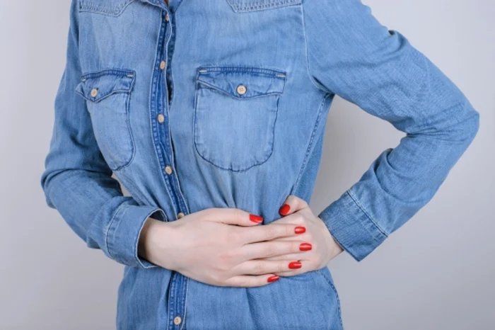 Splina este un organ esențial pentru sistemul imunitar.