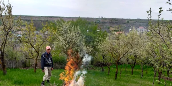 foc