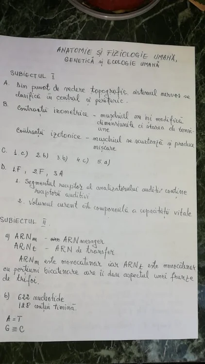 rezolvare anatomie foto arhiva