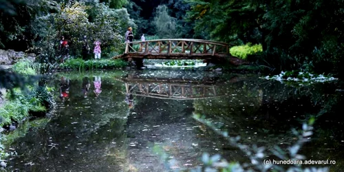 Parcul dendrologic Simeria