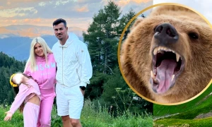 elena udrea urs webp