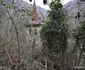Fostul sat Baia Craiului Foto Daniel Guță ADEVĂRUL (4) JPG