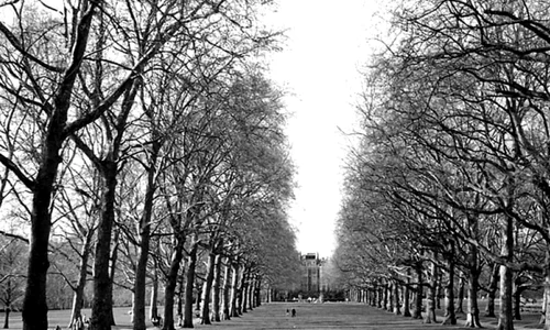 11 aprilie 1954   Cea mai plictisitoare zi din secolul XX jpeg