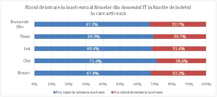 analiza termene.ro companii IT