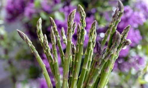 green asparagus 4501421 1280 jpg
