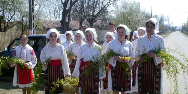 calarasi lazarel