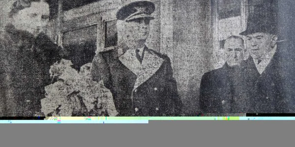 mihai elena