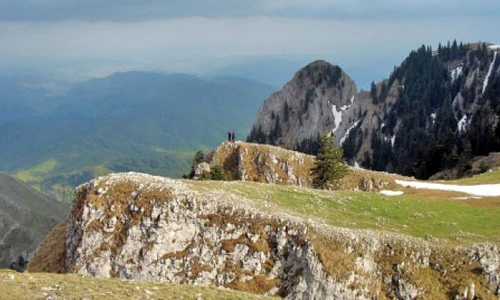 1 64667 original jpg jpeg