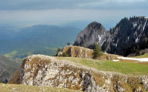 1 64667 original jpg jpeg