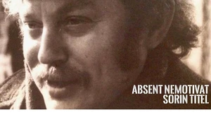 Absent nemotivat #6 jpeg