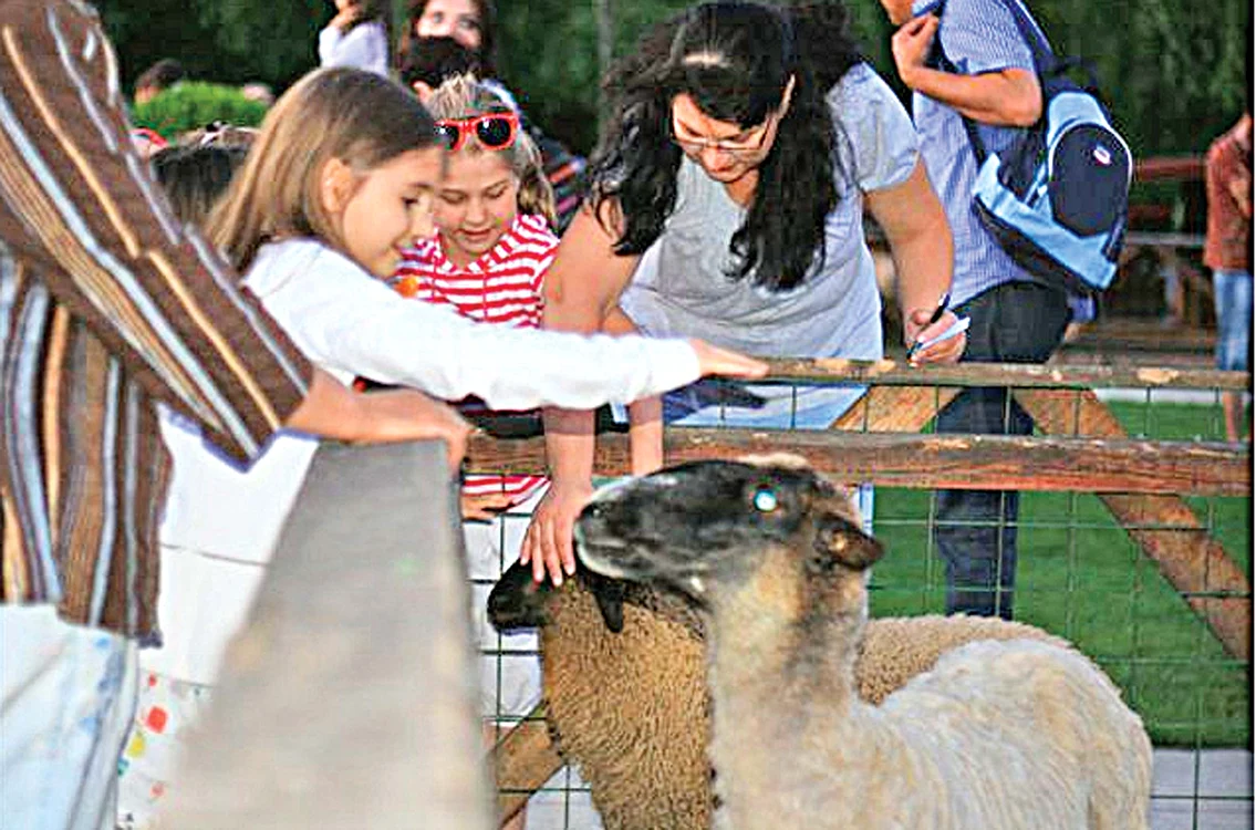 
    O întâlnire cu animalele drăguțe este întotdeauna o distracție pe placul copiilor  