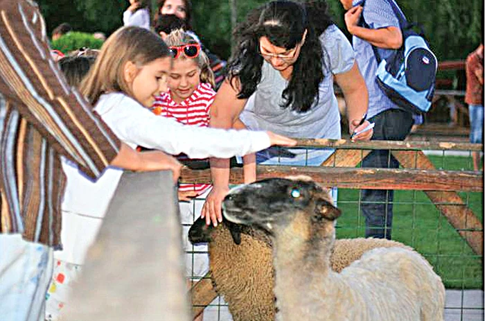 O întâlnire cu animalele drăguțe este întotdeauna o distracție pe placul copiilor
